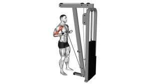 Read more about the article Cable Drag Curl