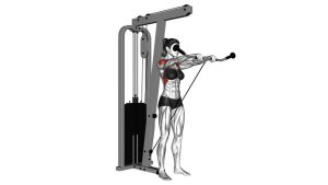 Read more about the article Cable Front Raise