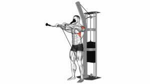 Read more about the article Cable Front Raise