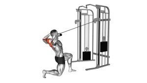Read more about the article Cable Half-Kneeling Face Pull