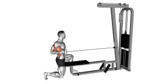 Read more about the article Cable Half-Kneeling Single-Arm Row