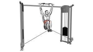 Read more about the article Cable Hanging Leg Raise