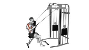 Read more about the article Cable High Row with Chest Support