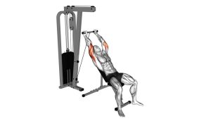 Read more about the article Cable Incline Triceps Extension
