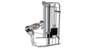 Read more about the article Cable Triceps Kickback