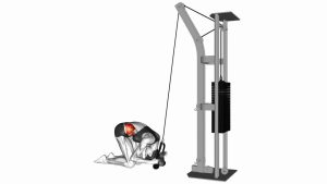 Read more about the article Cable Kneeling Crunch