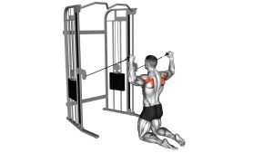 Read more about the article Cable Kneeling Shoulder External Rotation