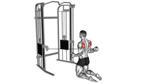 Read more about the article Cable Kneeling Shoulder Internal Rotation