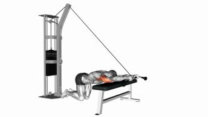 Read more about the article Cable Kneeling Triceps Extension