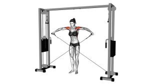 Read more about the article Cable Lateral Raise
