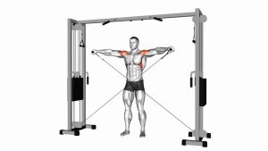 Read more about the article Cable Lateral Raise