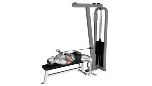 Read more about the article Cable Lying Biceps Curl