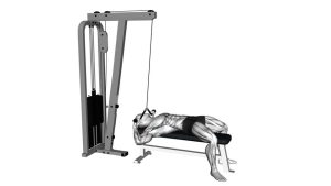 Read more about the article Cable Lying Face Pull