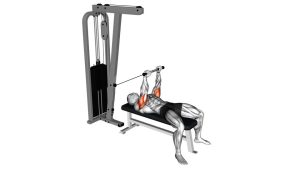 Read more about the article Cable Lying Triceps Extension