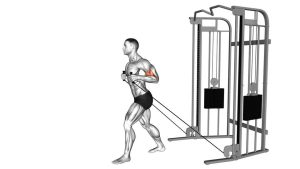 Read more about the article Cable Neutral Grip Biceps Curl