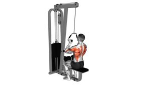 Read more about the article Cable Neutral-Grip Lat Pulldown