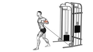 Read more about the article Cable One-Arm Biceps Curl