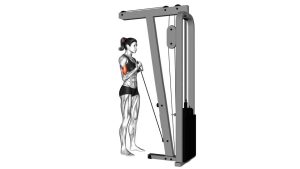 Read more about the article Cable One-Arm Curl