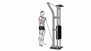 Read more about the article Cable One-Arm Curl