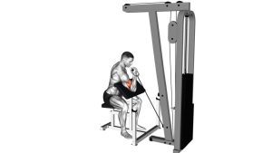 Read more about the article Cable One-Arm Preacher Curl