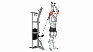 Read more about the article Cable Overhead Triceps Extension (Rope Attachment)