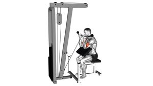 Read more about the article Cable Preacher Curl