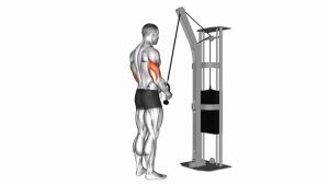 Read more about the article Cable Rope Pushdown