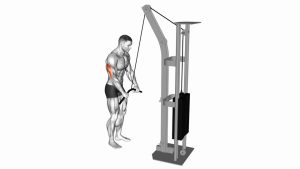 Read more about the article Cable Triceps Pushdown