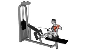 Read more about the article Cable Rear Delt Row (Parallel Bar)