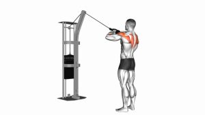 Read more about the article Cable Rear Delt Row with Rope