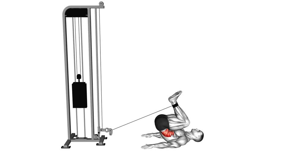 Mp Crunch Cable Reverse Crunch - ManiacMuscle