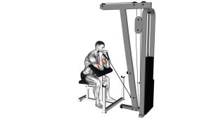 Read more about the article Cable Rope Hammer Preacher Curl