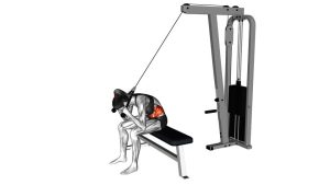 Read more about the article Cable Seated Crunch