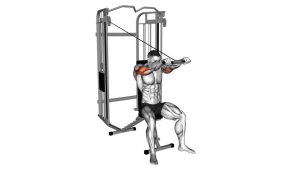 Read more about the article Cable Seated High Pulley Overhead Tricep Extension