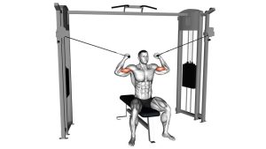 Read more about the article Cable Seated Overhead Curl