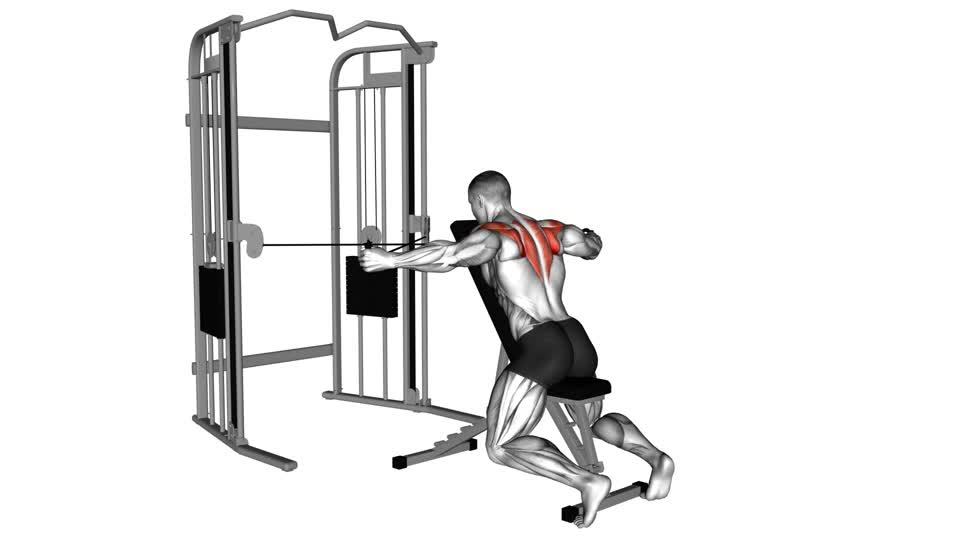 Cable Seated Rear Delt Fly with Chest Support - ManiacMuscle