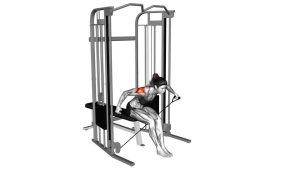 Read more about the article Cable Seated Rear Delt Raise