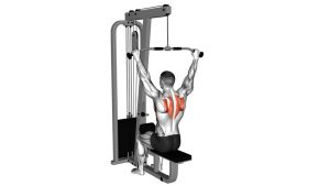 Read more about the article Cable Seated Reverse Shrug