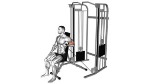 Read more about the article Cable Seated Unilateral Biceps Curl