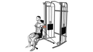 Read more about the article Cable Seated Unilateral Bicep Curl