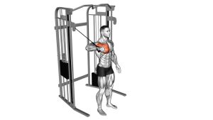 Read more about the article Cable Shoulder 90-Degree Internal Rotation