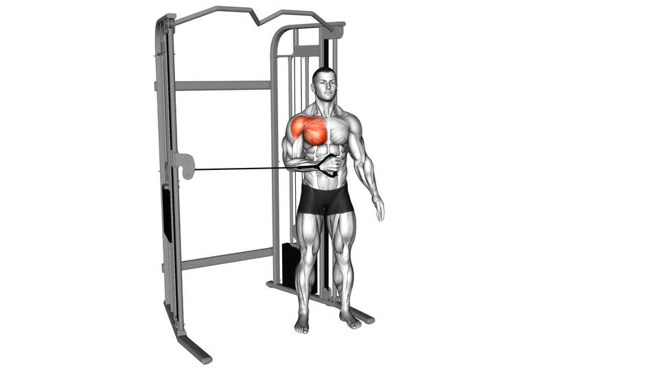 Cable Shoulder Internal Rotation - ManiacMuscle