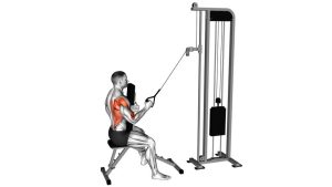 Read more about the article Cable Single-Arm High Row with Chest Support