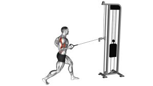 Read more about the article Cable Split Stance Single-Arm Row