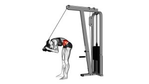 Read more about the article Cable Standing Crunch (With Rope Attachment)