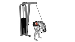 Read more about the article Cable Standing Crunch (With Rope Attachment)