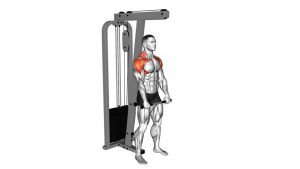 Read more about the article Cable Standing Front Raise Variation