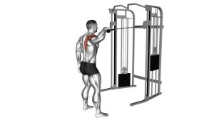 Read more about the article Cable Standing One-Arm Face Pull