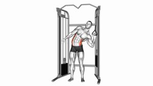 Read more about the article Cable Standing One-Arm Serratus Obliques Crunch