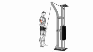 Read more about the article Cable Standing One-Arm Triceps Extension